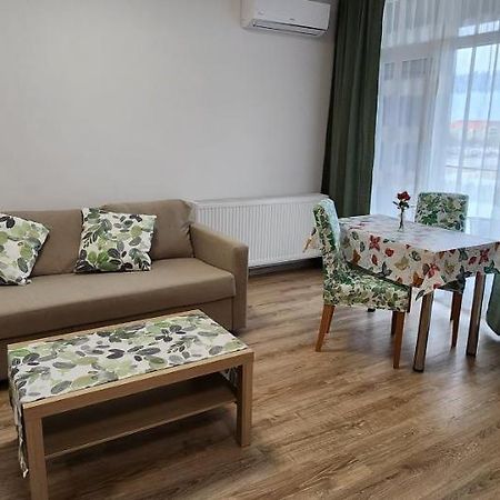 Butterfly Apartment Temeşvar Dış mekan fotoğraf