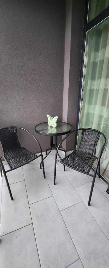 Butterfly Apartment Temeşvar Dış mekan fotoğraf