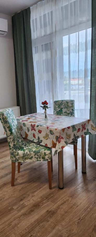 Butterfly Apartment Temeşvar Dış mekan fotoğraf
