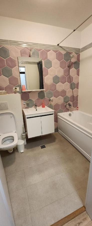 Butterfly Apartment Temeşvar Dış mekan fotoğraf