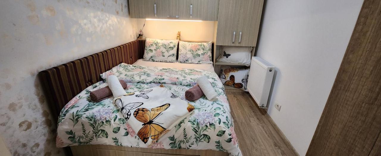 Butterfly Apartment Temeşvar Dış mekan fotoğraf
