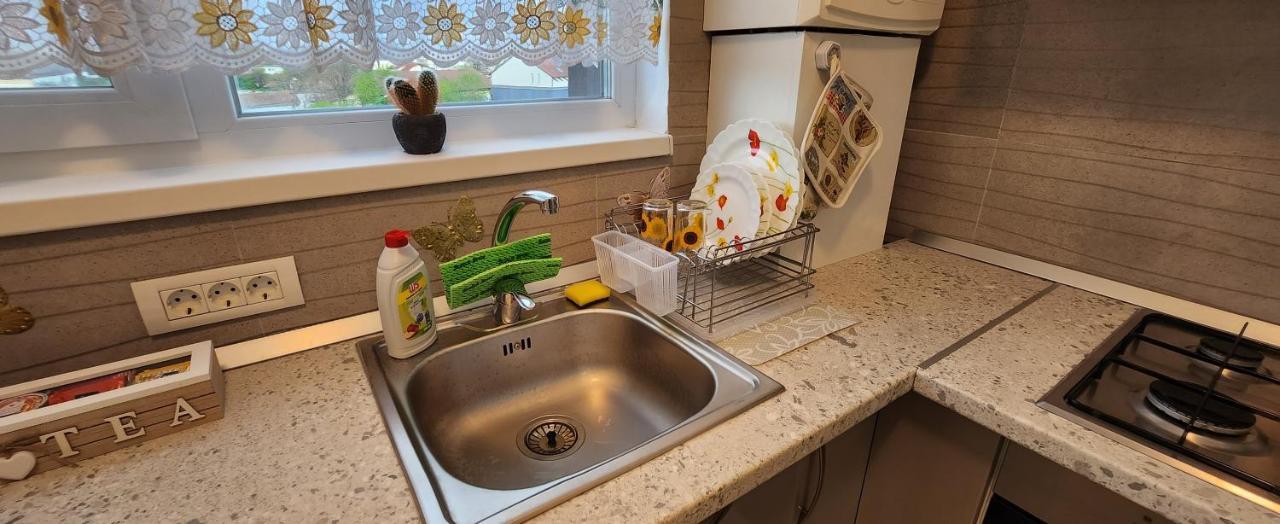 Butterfly Apartment Temeşvar Dış mekan fotoğraf