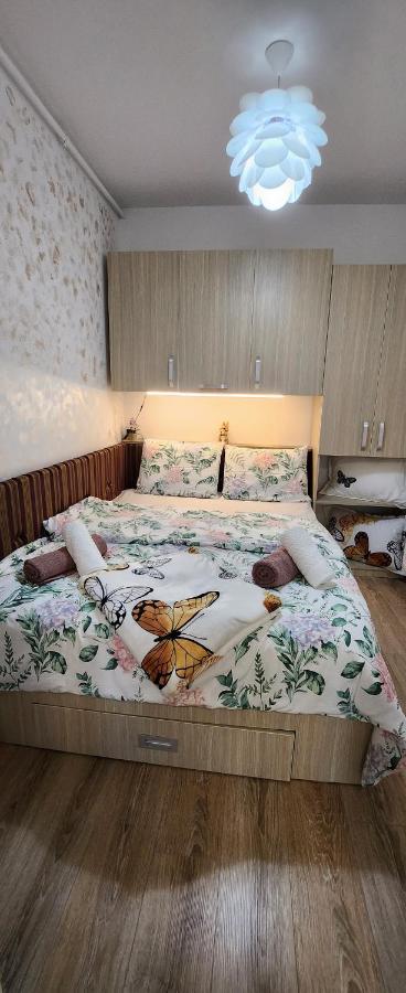 Butterfly Apartment Temeşvar Dış mekan fotoğraf