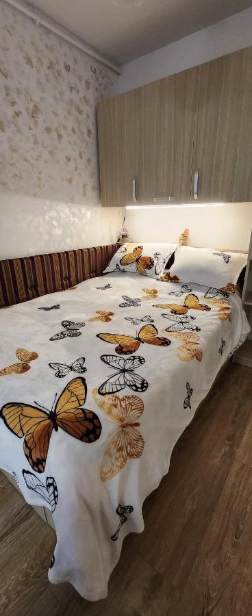 Butterfly Apartment Temeşvar Dış mekan fotoğraf