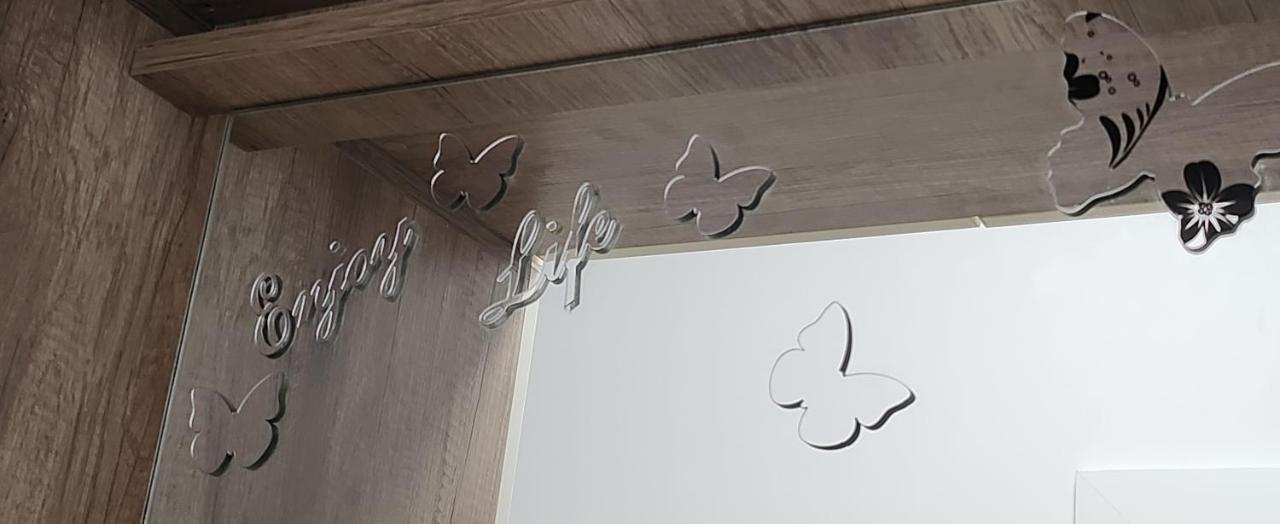 Butterfly Apartment Temeşvar Dış mekan fotoğraf